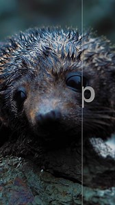 38 reactions | Enhance your video content with Topaz Labs' Video AI! Captivate your audience like never before. Key Features:  Enhance clarity and reduce noise  Stabilize shaky footage with ease Try Topaz Labs Video AI now! | Topaz Labs | Facebook