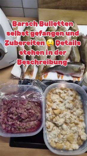 Barsch Bulletten selbst zubereiten: Schritt-für-Schritt