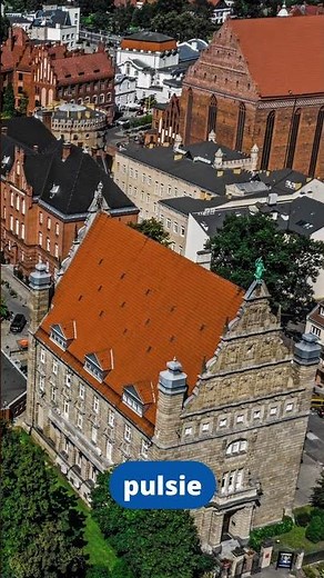 Toruń – the perfect city for your studies