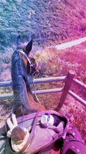 Love that view when your horse climbs to the top