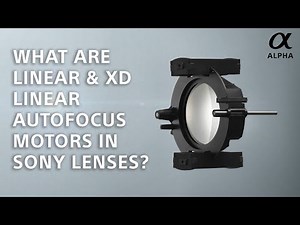 Alpha Insights || What are Linear & XD Linear Autofocus Motors in Sony Lenses?