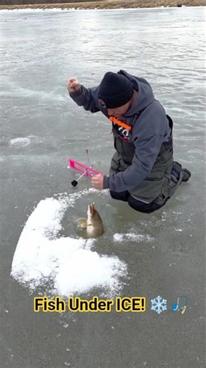 Crazy Ice Fishing Catch Under Thick Ice! 🎣❄️