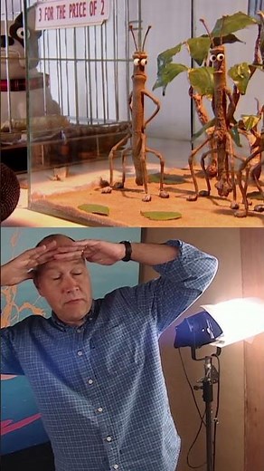 How They Made the Stick Insect Scene – Creature Comforts BTS!