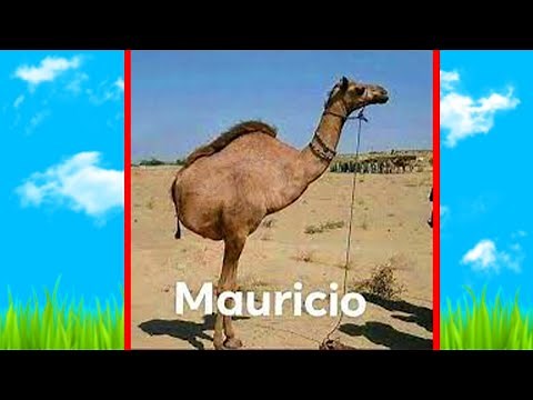 THIS WAS HILARIOUS… Cards Against Humanity