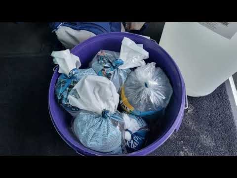 Neuzugänge April 2025 im Aquarium