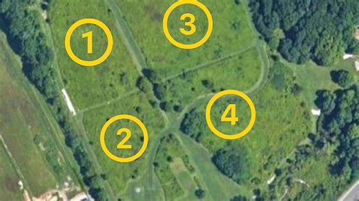 ‘Meadow areas provide critical habitat’: That’s why Brown's Farm meadow is being restored