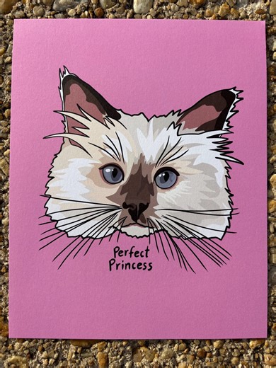 Perfect Princess Ragdoll Cat Art Print – Colorful Illustration, 8"x10" - Etsy