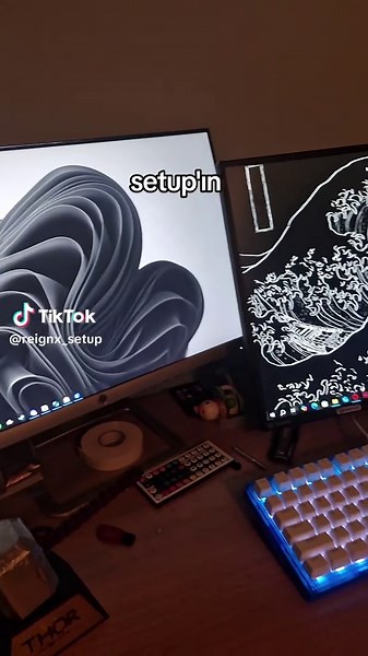 ReignX | Setup TikTok'ta