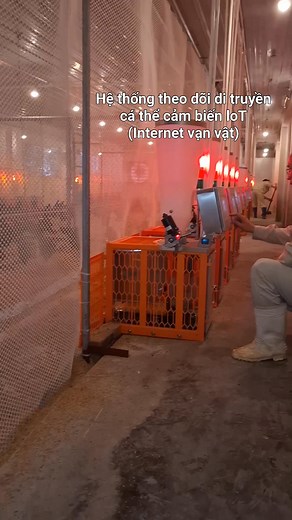 5.7K views · 34 reactions | ỨNG DỤNG CẢM BIẾN IoT THEO DÕI CHỈ SỐ DI...