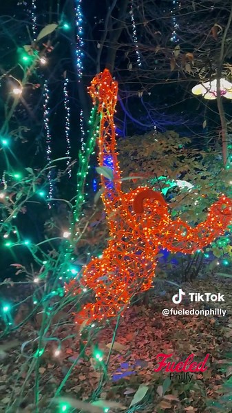 Are you ready to create magical memories with your loved ones at LumiNature presented by the Philadelphia Zoo 🎄✨❄️ This spectacular winter light show is here for you to purchase tickets 🎟️ NOW until January 6th Experience dazzling displays, shimmering sights, and lively light performances great for the family or even date night! ✨❄️🎄❤️ @Philadelphia Zoo #luminature #philly #philadelphiazoo #holidaylights #lights #datenight #phillydatenight #holidayseason #visitphilly #christmas #christmasdeco