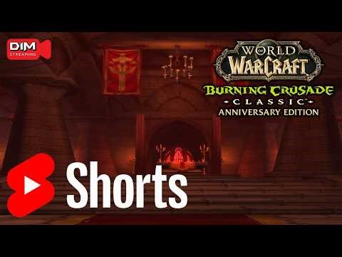 Запределье зовет! Прокачка Шамана-хилера в WoW TBC Classic