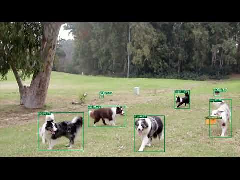 【Object detection】YOLOXの導入からチュートリアルまで【物体検出】