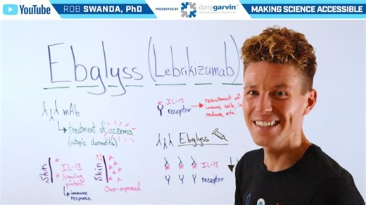 How does Ebglyss (Lebrikizumab) Work?