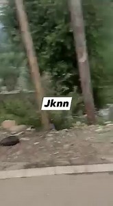 4K views · 20 reactions | A ration truck while travelling to Rawalpora via Arizal was looted by Food department employees. They took floor bags from truck illegally and put into their personal vehicles for this home. This is an absolute injustice with people. Administration must look into the matter and take strict action against those employees. | Teens of Kashmir | Facebook