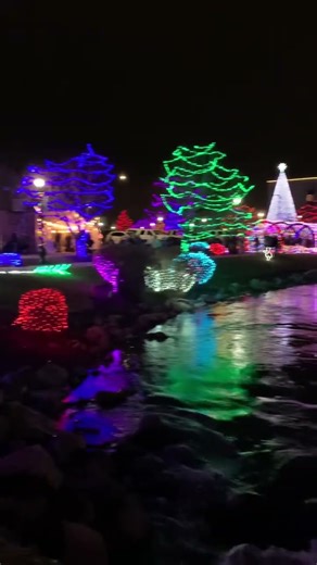 Great Christmas Lights! #funny #christmas #lights #christmasmusic