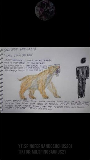 Smilodon Populator #menggambar #drawing #smilodon #prehistoricanimal #cenozoic