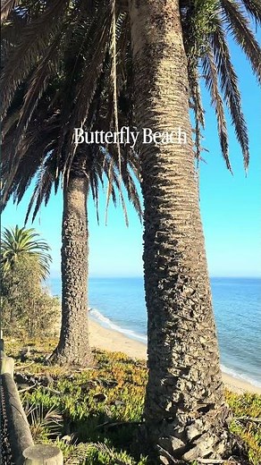 8 Must-See Beaches in Santa Barbara