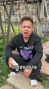 Job Hunt Post Spring Festival: A Hilarious Duo's Adventure