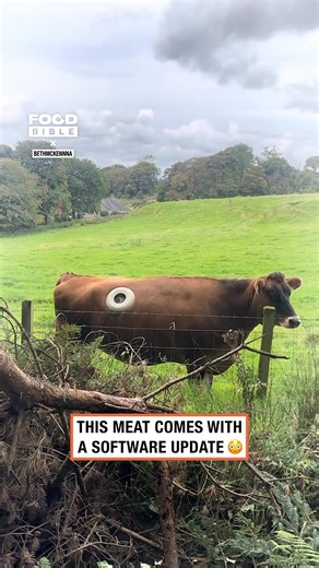Cow comes with bluetooth 😂🐄 #cows #technology | FOODbible