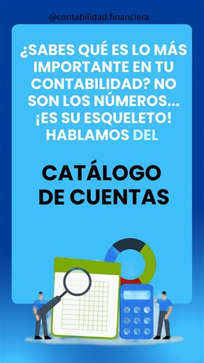 Razones por las que el Catálogo de Cuentas es la base de tu Balance. | Contabilidad Financiera