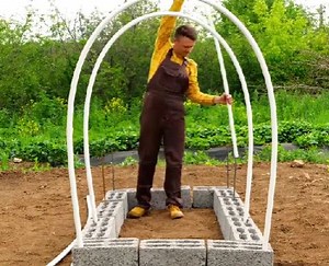 Awesome greenhouse idea you can repeat in no time! | 5-Minute Crafts