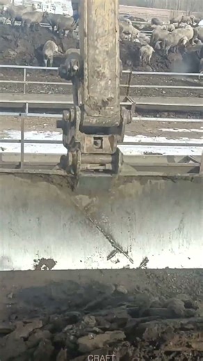 Excavator Road Leveling! Super Satisfying Construction Process