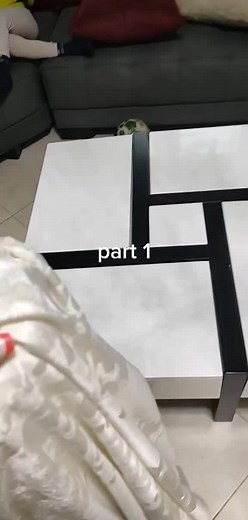 Exploring Elegant Fabric Designs and Decor Elements