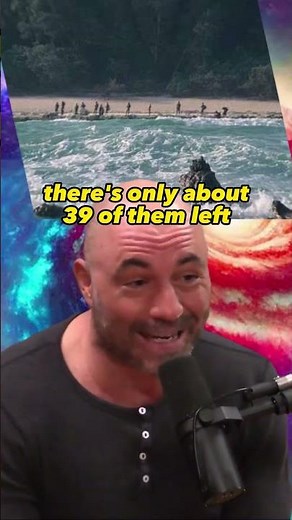 Uncontacted Tribes and the Cosmic Enigma: Why Haven't Aliens Visited Us? Joe Rogan Experience #1233