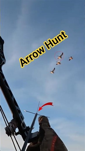 Duck Hunting With Arrow🏹 #shortsfeed #reelschallenge #shorts
