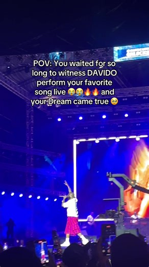 Davido's Epic Concert Experience in Tanzania