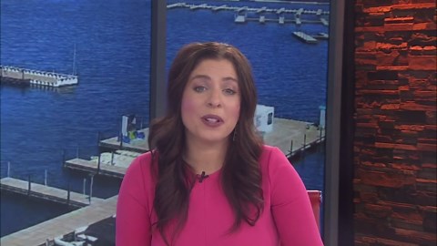 2024-25 Persimmon Seed Forecast for the Ozarks