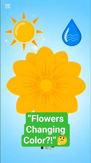 “Why Do Flowers Change Color? 🌸 Amazing Plant Science!” #garden #floralseries #floralsymmetry #plant