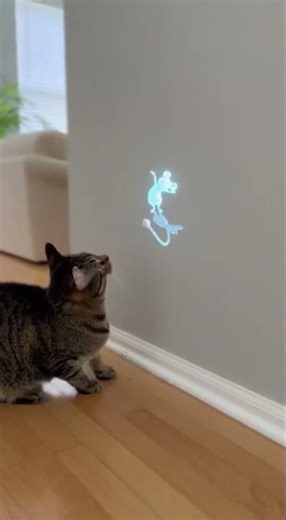 When Your Cat Meets TECHNOLOGY… Chaos Ensues 😂