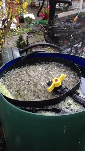 DIY Biological Pond Filter Self Cleaning Kaldness K1 Media