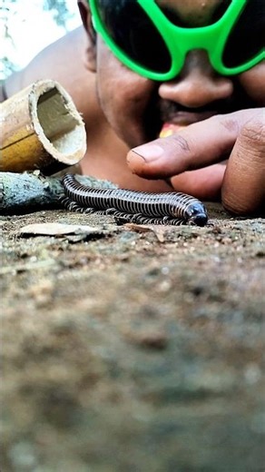 I am the centipede conqueror! The one who has the townspeople on edge #millipede