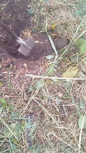 4.6K views · 15 reactions | Site clearing forms the preliminary...