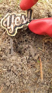 1.9K views · 22 reactions | YES! YES! YES! I found it! I've been looking for that find all my life | The Search King | Facebook