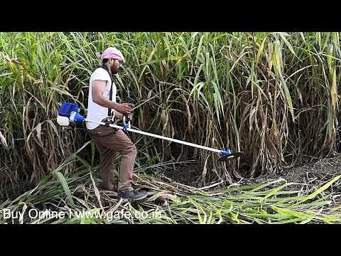 Napier Grass Cutting Machine | FarmBoy Brush Cutter 8652 | www.gafe.co.in | Whats app +91 9825087673