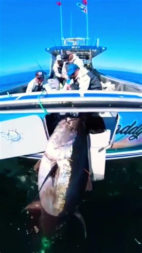 How to Catch Big Fish: Pro Tips for Every Angler.