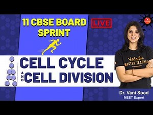 Cell Cycle and Cell Division | CBSE Class 11 Biology | By Dr. Vani Mam | Vedantu Biotonic