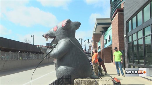 Electricians union demonstrates in Champaign after local workers left off project