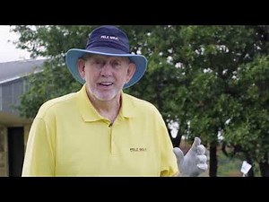 What SYNLawn Golf Looks Like 10 Years After Installation — Dave Pelz