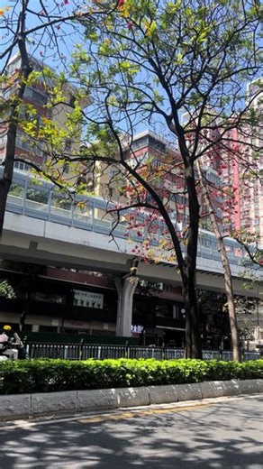 为什么那个大叔开着车还一直看着我？注意安全啊叔#广州 #美女 #求助广大网友 #大长腿 #偶遇