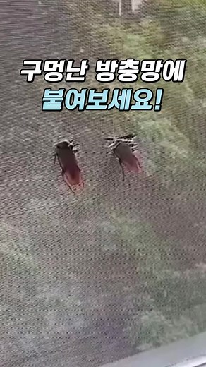 구멍난 방충망 수리 방법과 제품 추천