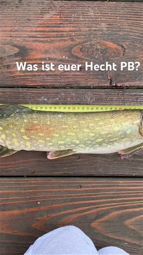 Euer HechtPB ?