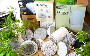 Best LED Screw-in Grow Light on Amazon (2022 Edition): Screw-in Grow L