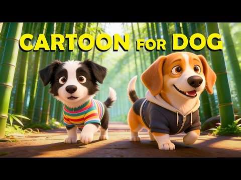 Best Dog Cartoon for Puppies to Watch, in Colors They Can See! 🐶 Anti-Anxiety & Prevent Boredom