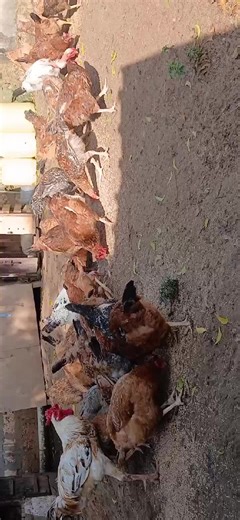 Bruce Wise #WiserGeneration (@brucewise)’s videos with original sound - Riley mwaliko