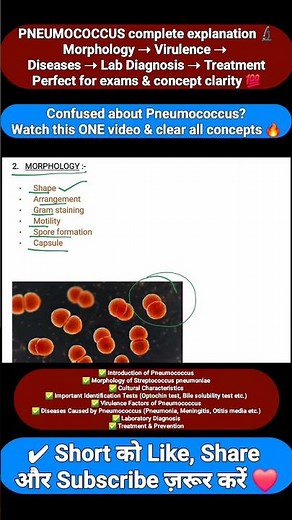 Pneumococcus | Morphology, Virulence, Diseases & Treatment | Microbiology #bacteriology