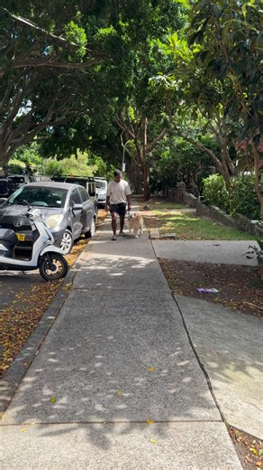 18K views · 295 reactions | I wasted so much time using BS techniques...